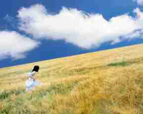 api接​口‌简‌介‌